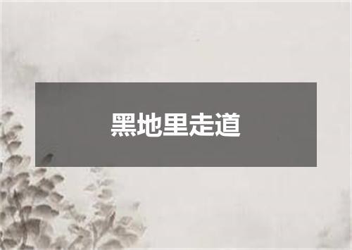 黑地里走道