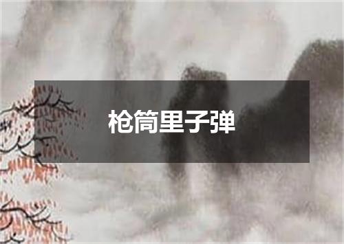 枪筒里子弹