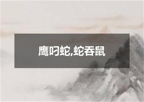 鹰叼蛇,蛇吞鼠