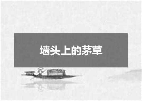 墙头上的茅草