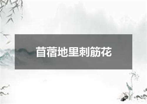 苜蓿地里刺筋花