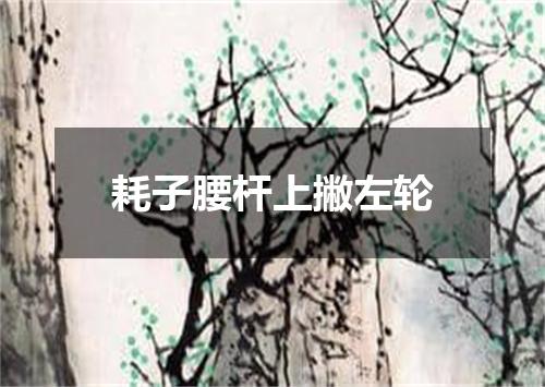 耗子腰杆上撇左轮