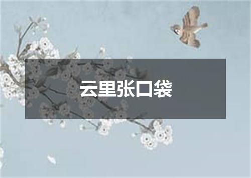 云里张口袋