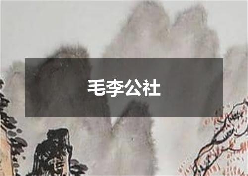 毛李公社