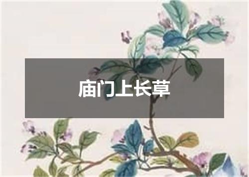 庙门上长草