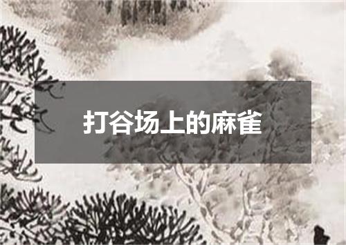打谷场上的麻雀