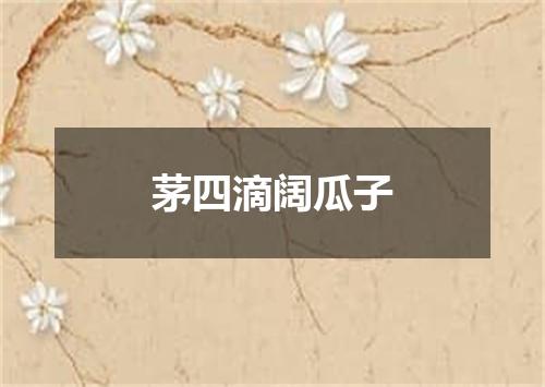 茅四滴阔瓜子