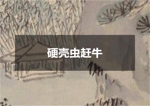 硬壳虫赶牛