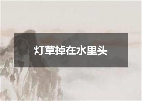 灯草掉在水里头