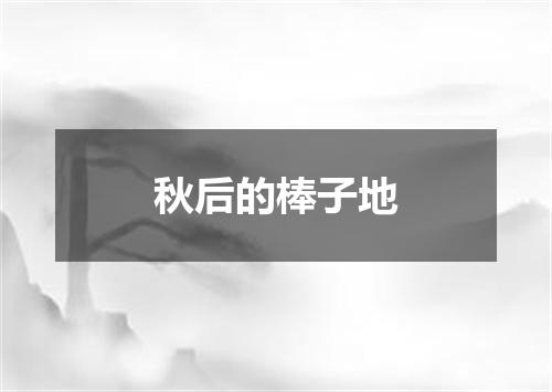 秋后的棒子地