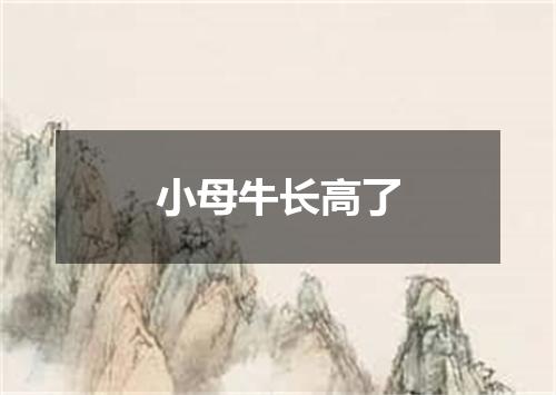 小母牛长高了