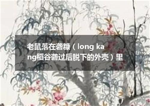 老鼠落在砻糠（long kang稻谷砻过后脱下的外壳）里