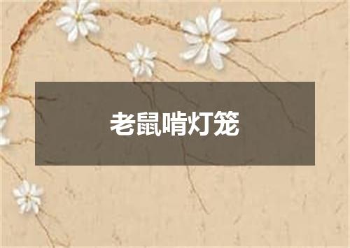 老鼠啃灯笼