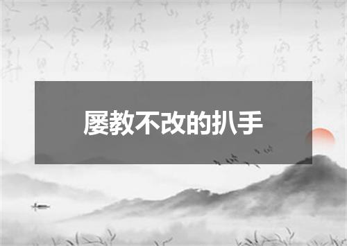 屡教不改的扒手