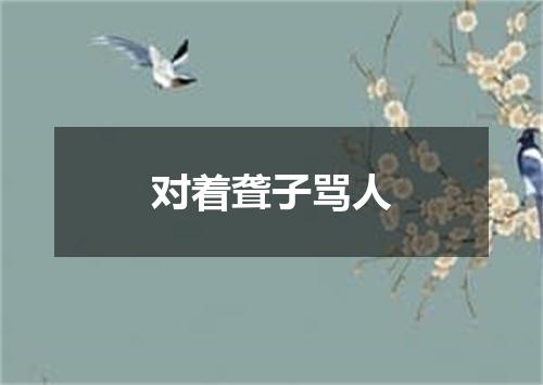 对着聋子骂人