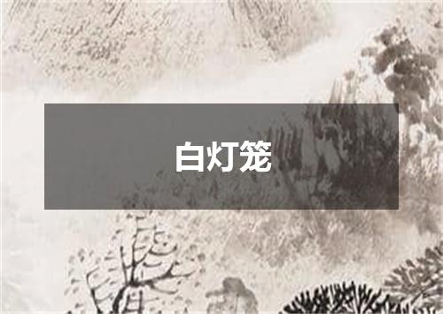 白灯笼