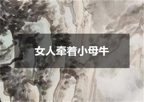 女人牵着小母牛