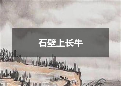 石壁上长牛