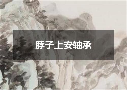 脖子上安轴承