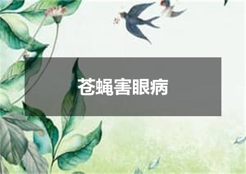 苍蝇害眼病