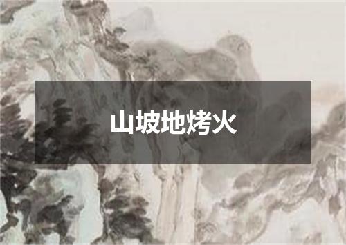 山坡地烤火