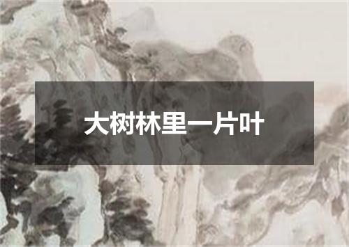 大树林里一片叶