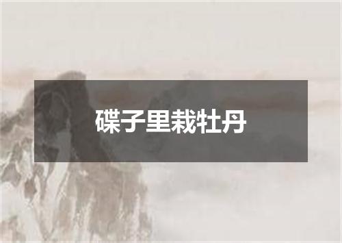 碟子里栽牡丹