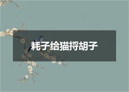 耗子给猫捋胡子