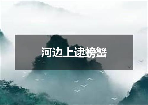 河边上逮螃蟹