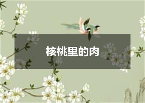 核桃里的肉