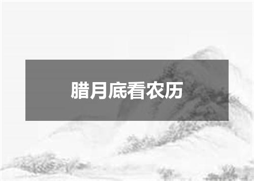 腊月底看农历