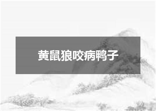 黄鼠狼咬病鸭子