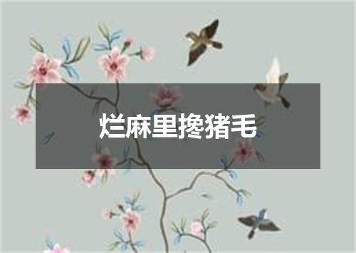 烂麻里搀猪毛
