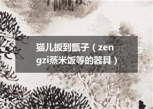 猫儿扳到甑子（zen gzi蒸米饭等的器具）