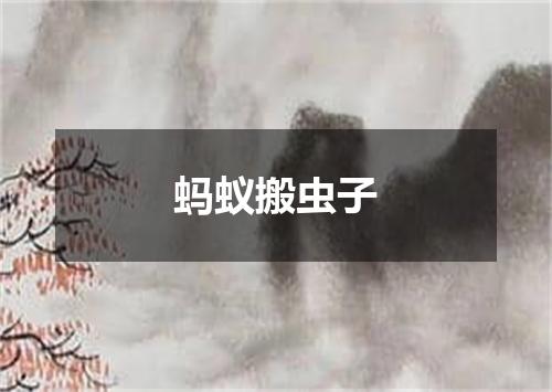 蚂蚁搬虫子