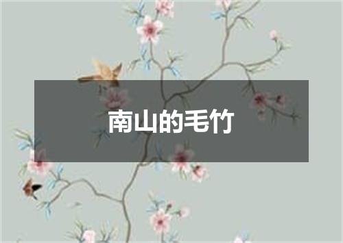 南山的毛竹
