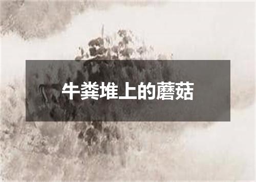 牛粪堆上的蘑菇