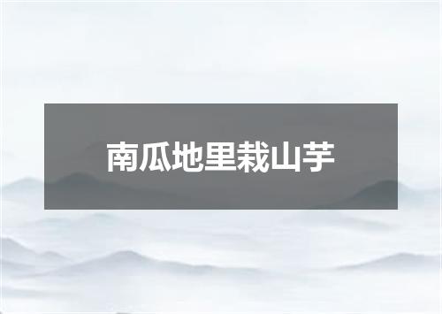 南瓜地里栽山芋