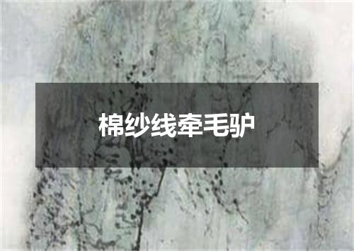 棉纱线牵毛驴