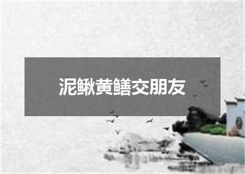 泥鳅黄鳝交朋友