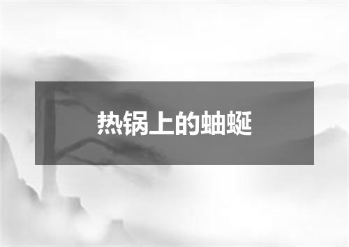 热锅上的蚰蜒