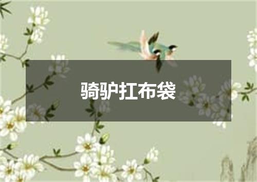 骑驴扛布袋