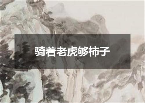 骑着老虎够柿子