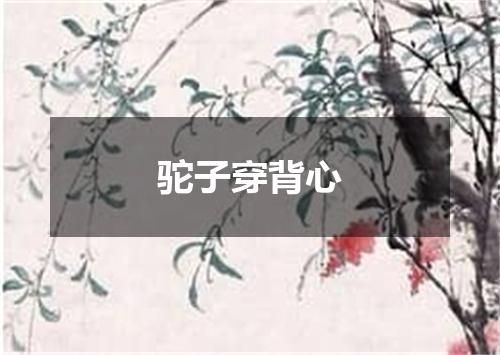 驼子穿背心