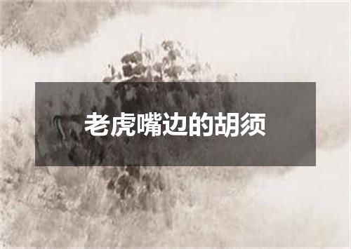 老虎嘴边的胡须