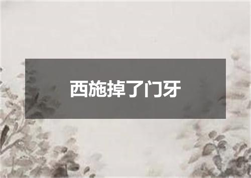 西施掉了门牙