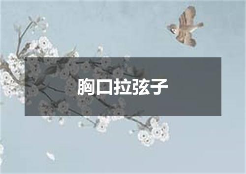 胸口拉弦子