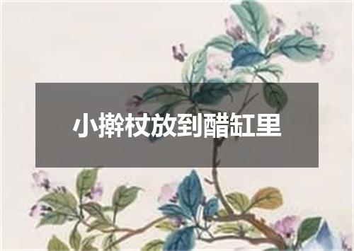 小擀杖放到醋缸里