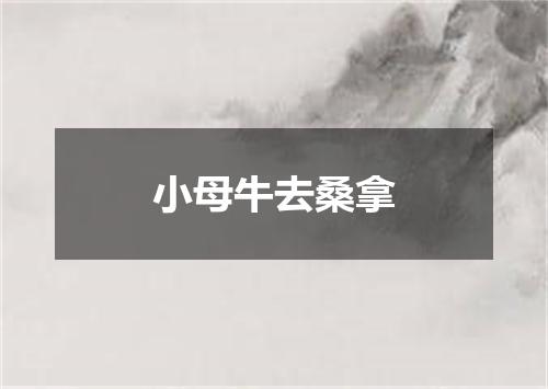 小母牛去桑拿