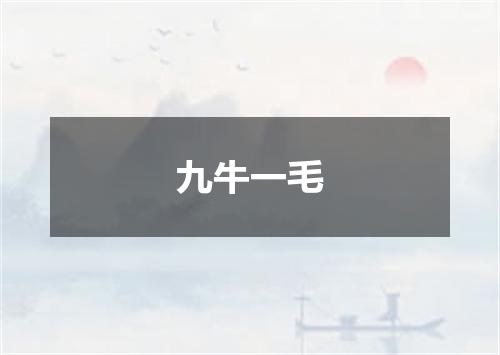 九牛一毛